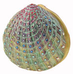 2227-1.jpg